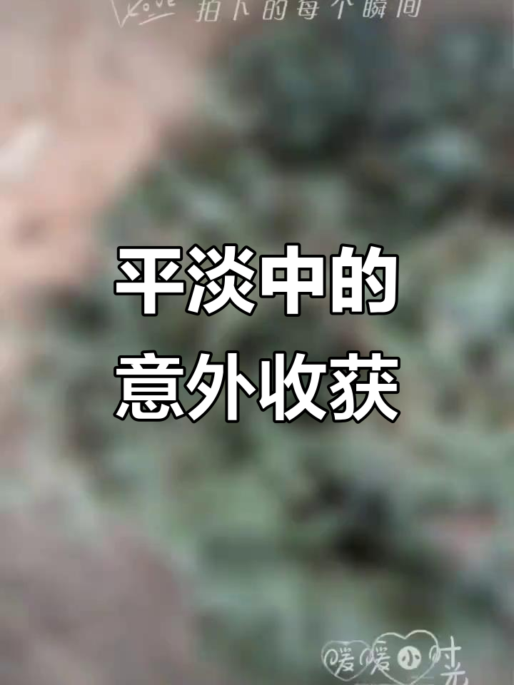 挖鸡丁草的辛苦与收获,平淡生活中的小确幸