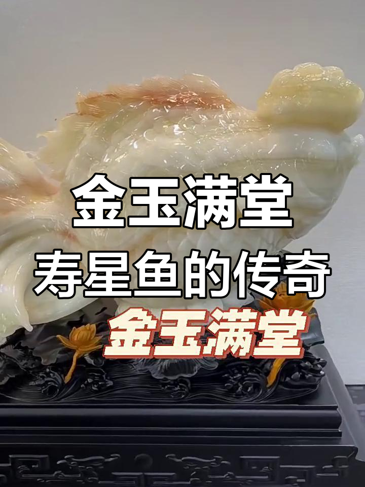 寿星鱼《金玉满堂》的魅力与故事