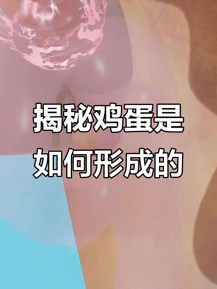 鸡蛋的形成过程竟然这么神奇，3小时就能搞定！