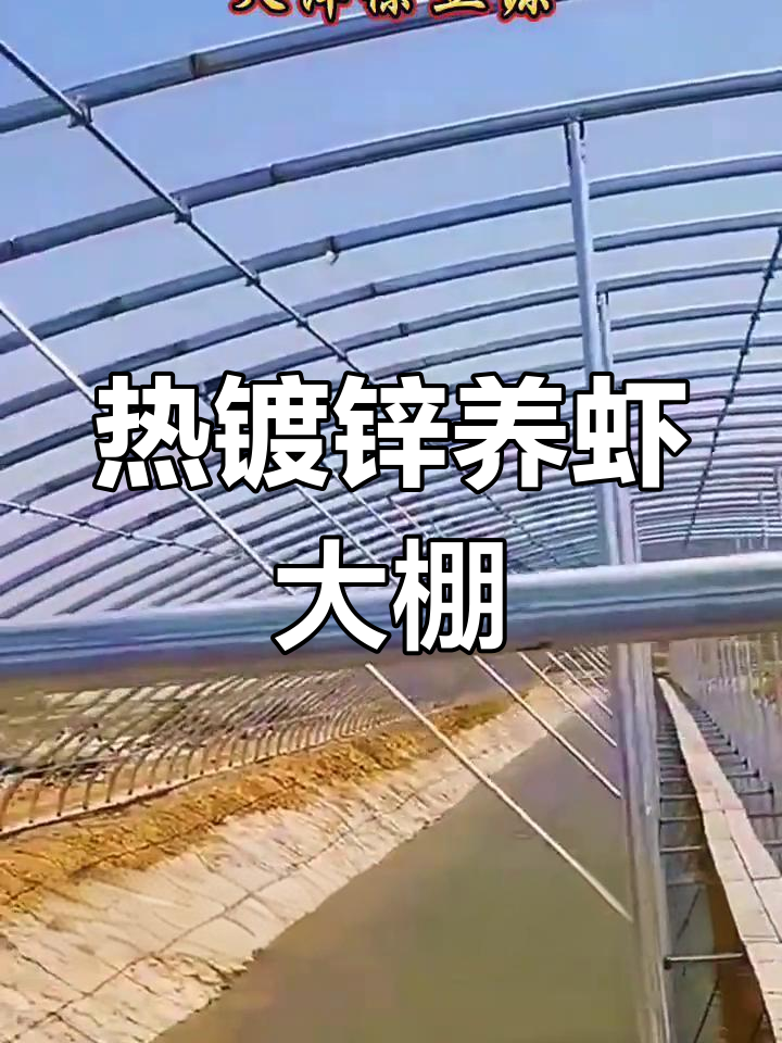 17米跨度养虾大棚设计,抗风抗压耐用30年
