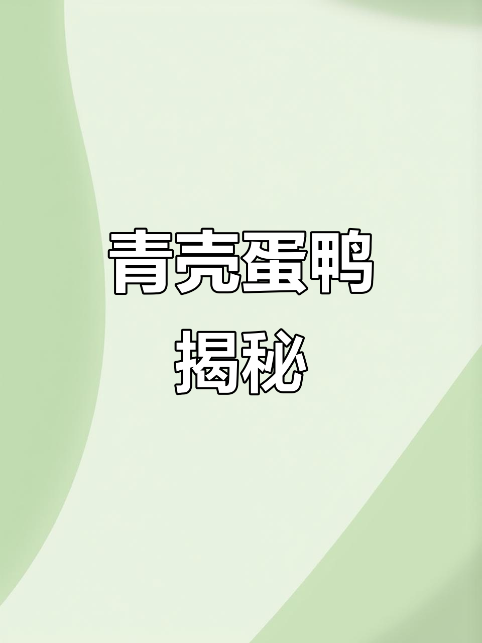 青壳4号蛋鸭，独特品种，了解更多欢迎补充！