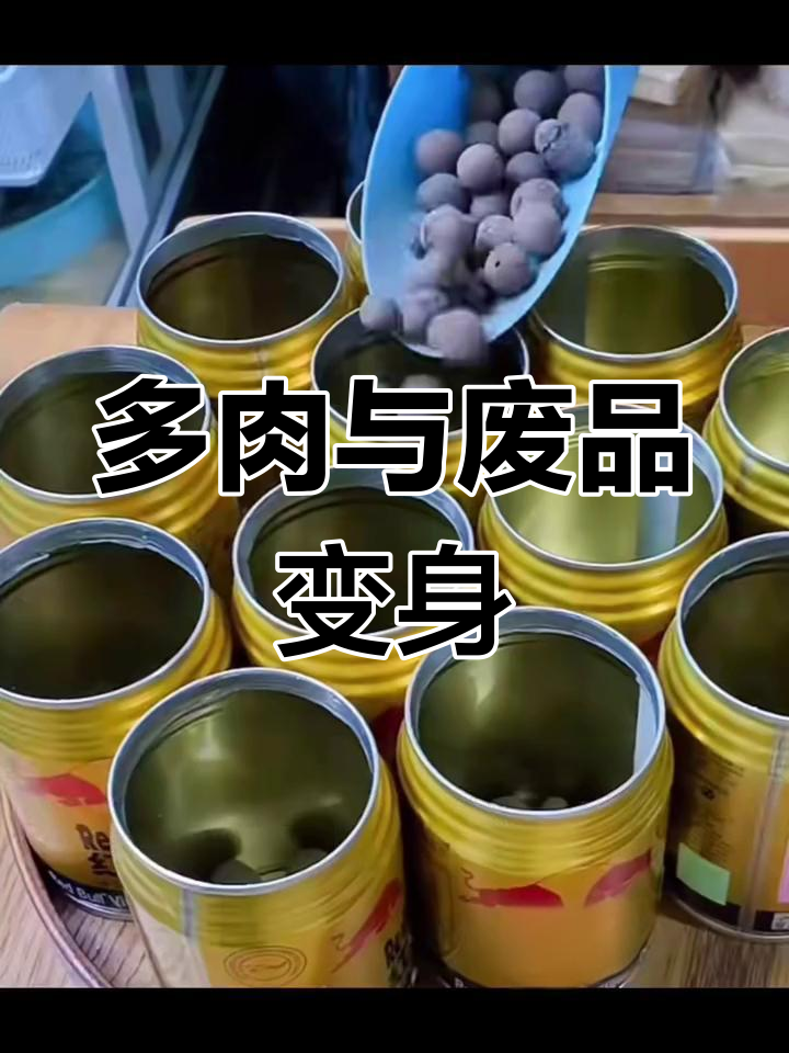自从养多肉,连红牛罐都成了宝贝!废物变珍宝的创意种植