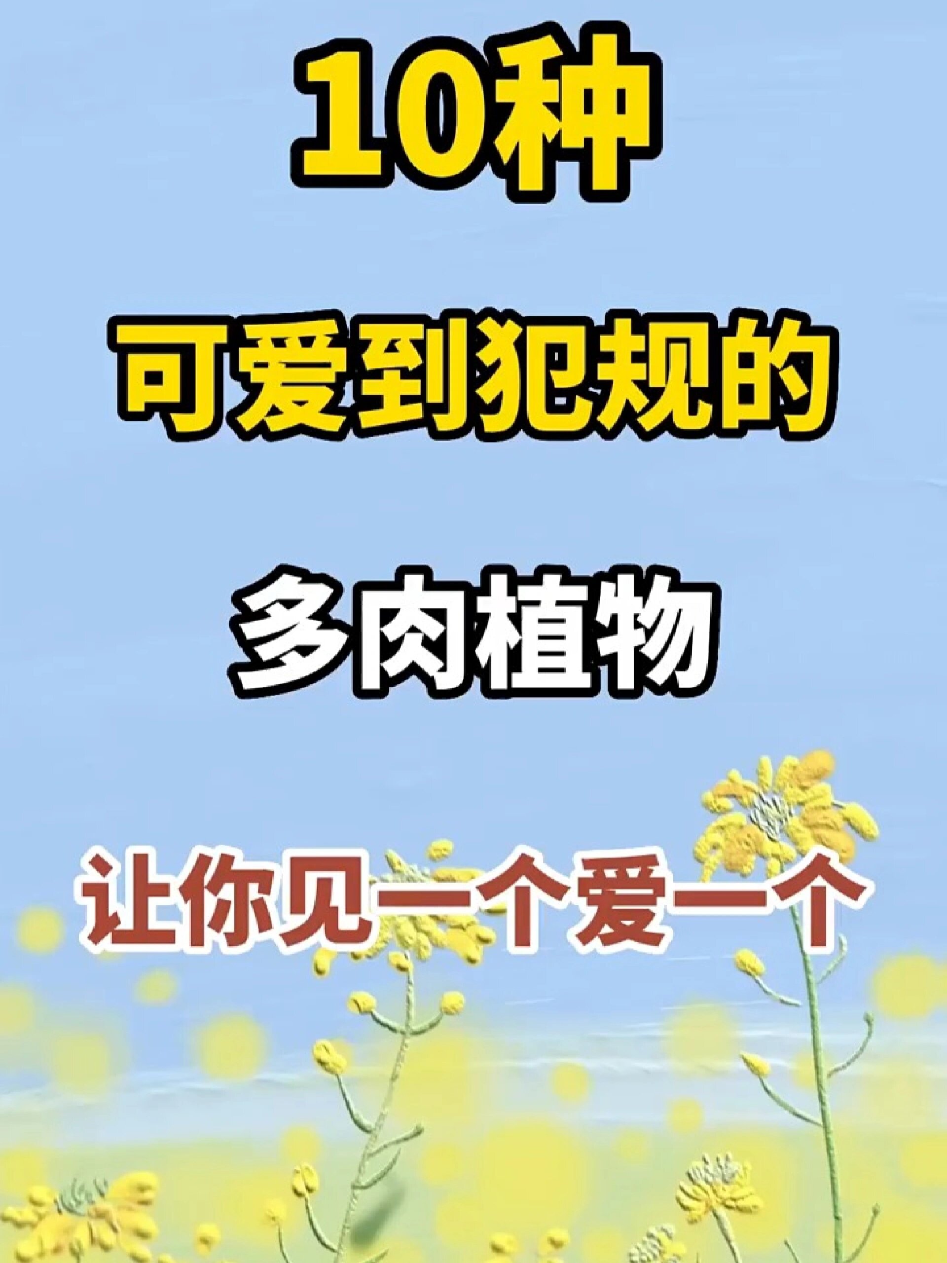 养肉人一定要养的十种多肉,超级好看