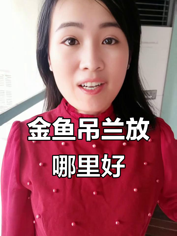 金鱼吊兰最佳摆放位置，客厅窗边最合适