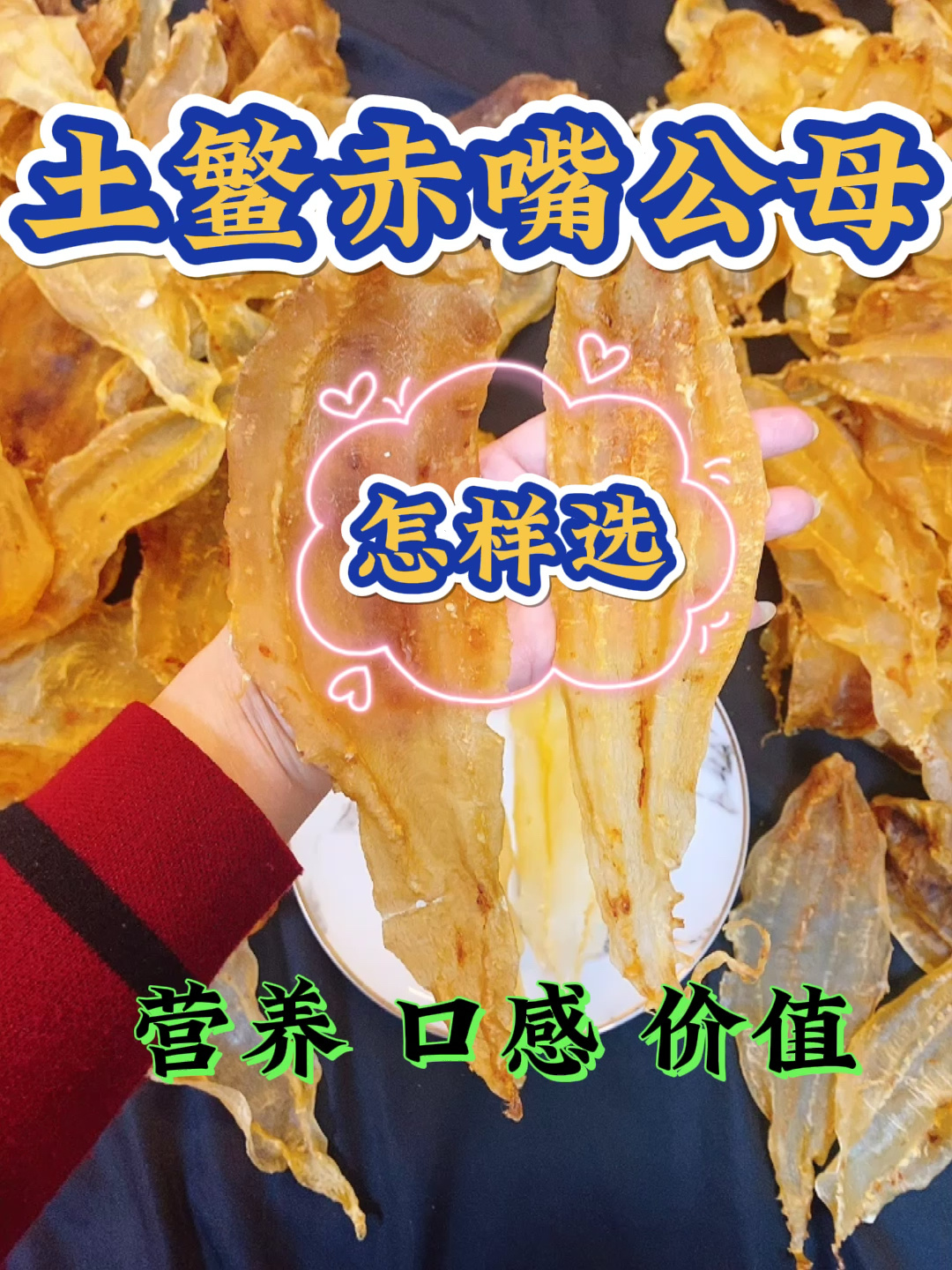 土鳘赤嘴鱼胶公母的区别 怎样选?