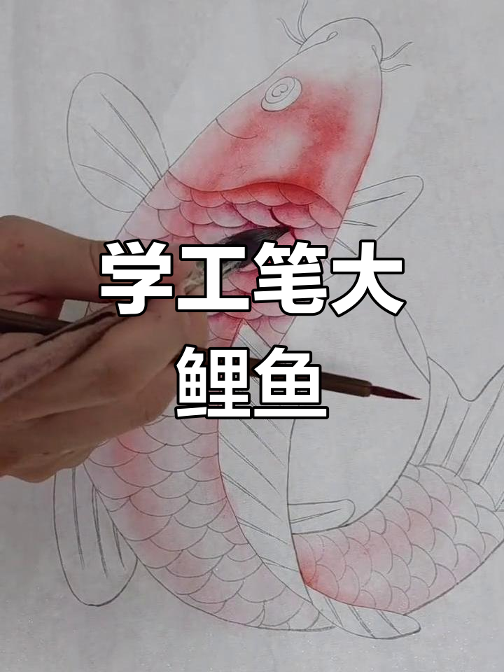 走进国画意境,一起学工笔画大鲤鱼