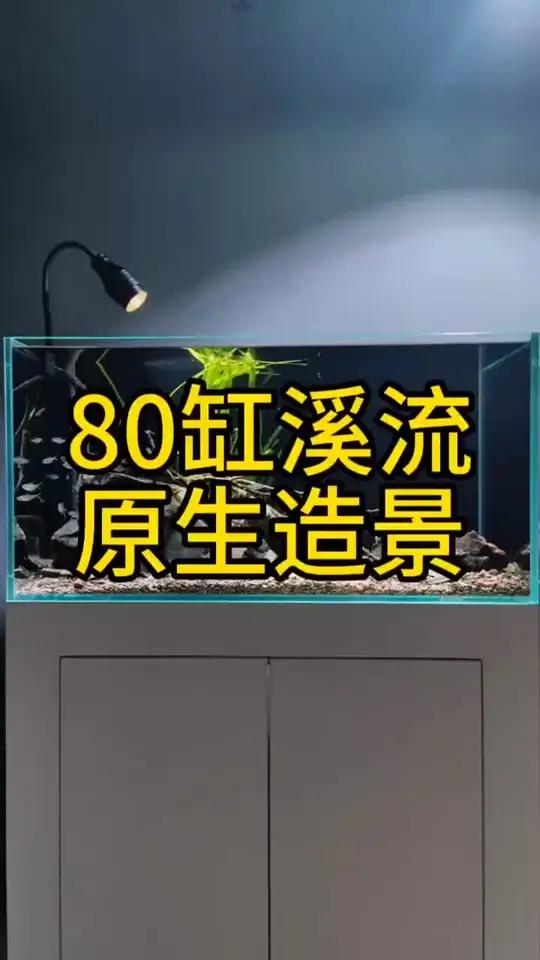 80溪流缸开缸造景 鱼缸造景 南美缸 溪流缸