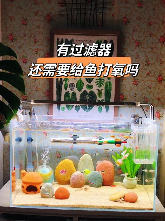 有过滤器,鱼缸还需要增加氧气吗?