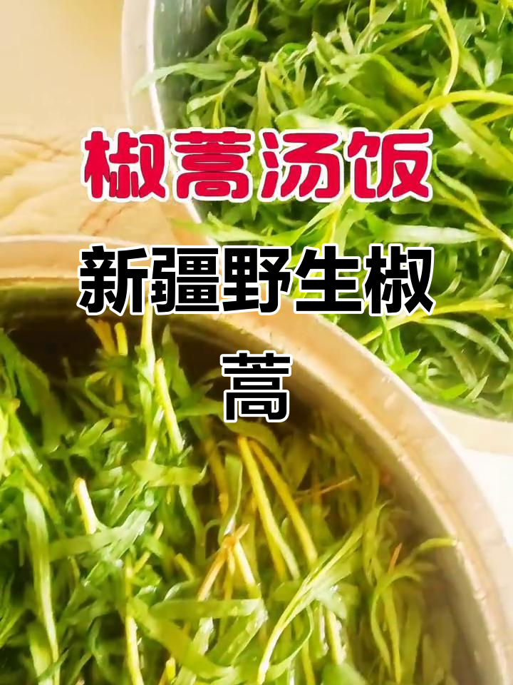 新疆野椒蒿:4.5月采摘,纯绿色美味等你尝