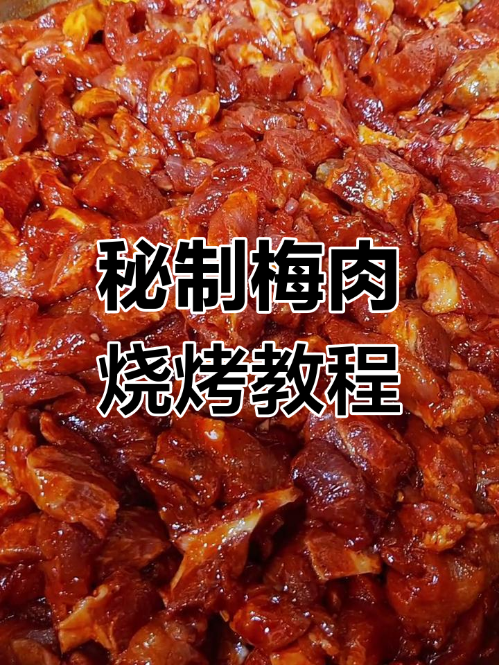 女士与小朋友最爱的甜口梅肉烧烤腌制技巧,轻松学会!