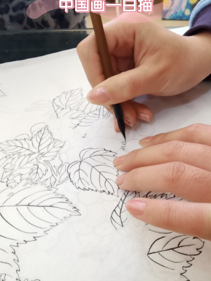中国画——白描工笔