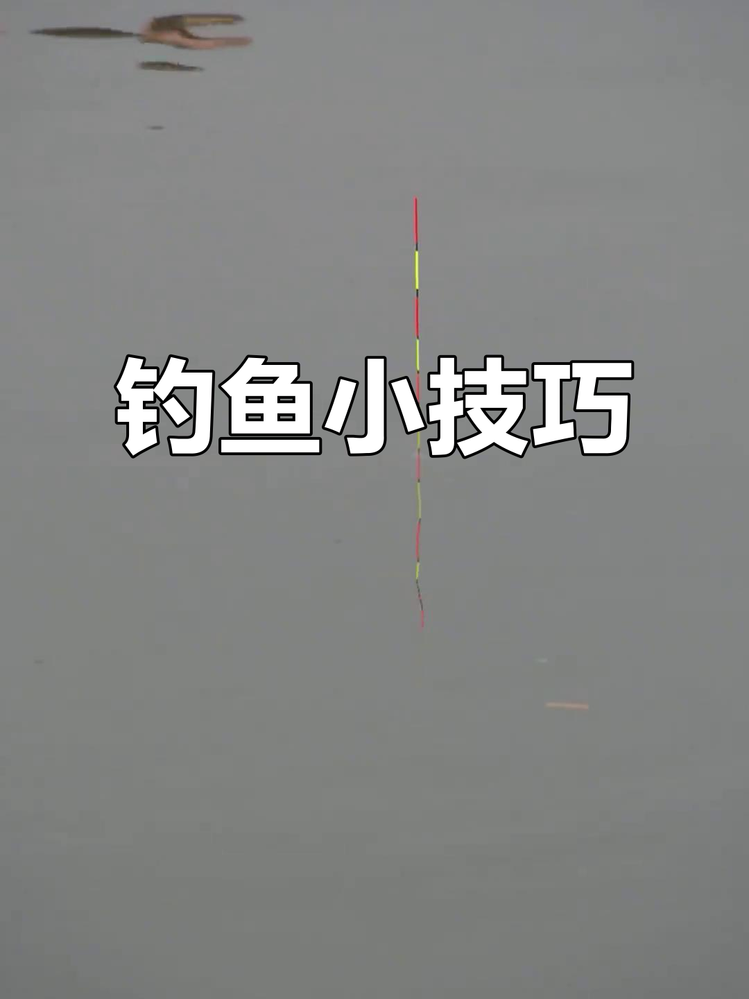 珠珠钓青鱼,勤抛竿逗引新鱼,懒惰可不行!