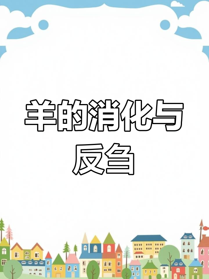 羊的解剖生理特点解析