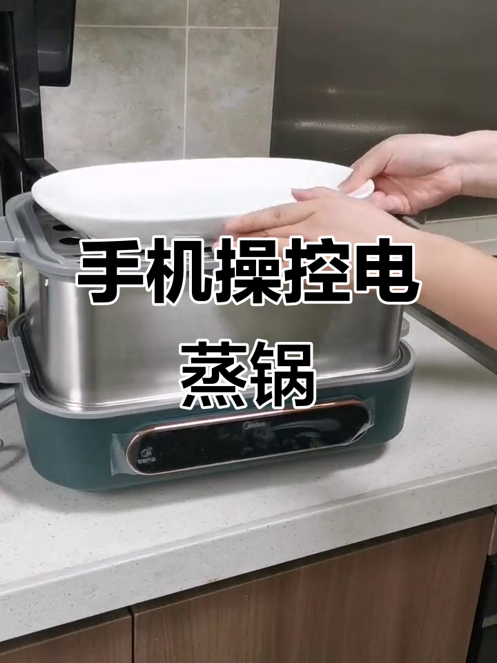 这款电蒸锅,手机控制预约功能,炖煮一体,实用又便捷