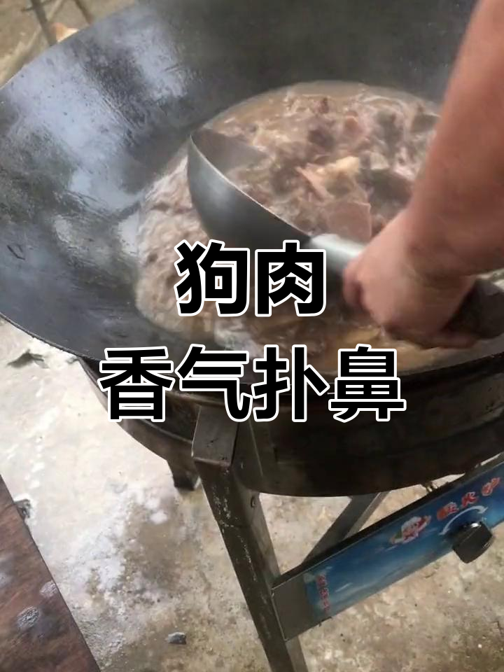 铁锅炖狗肉,香到停不下来,吃多了也不怕胖!