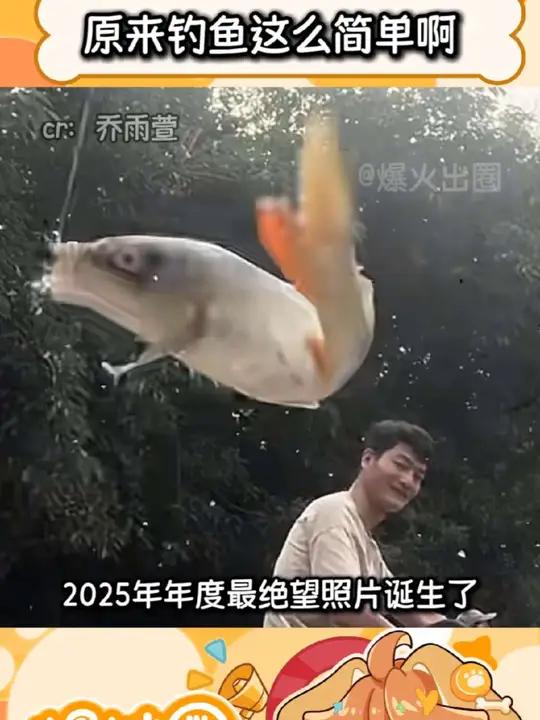 原来钓鱼这么简单啊，那些早出晚归的钓鱼佬们肯定赚翻了 