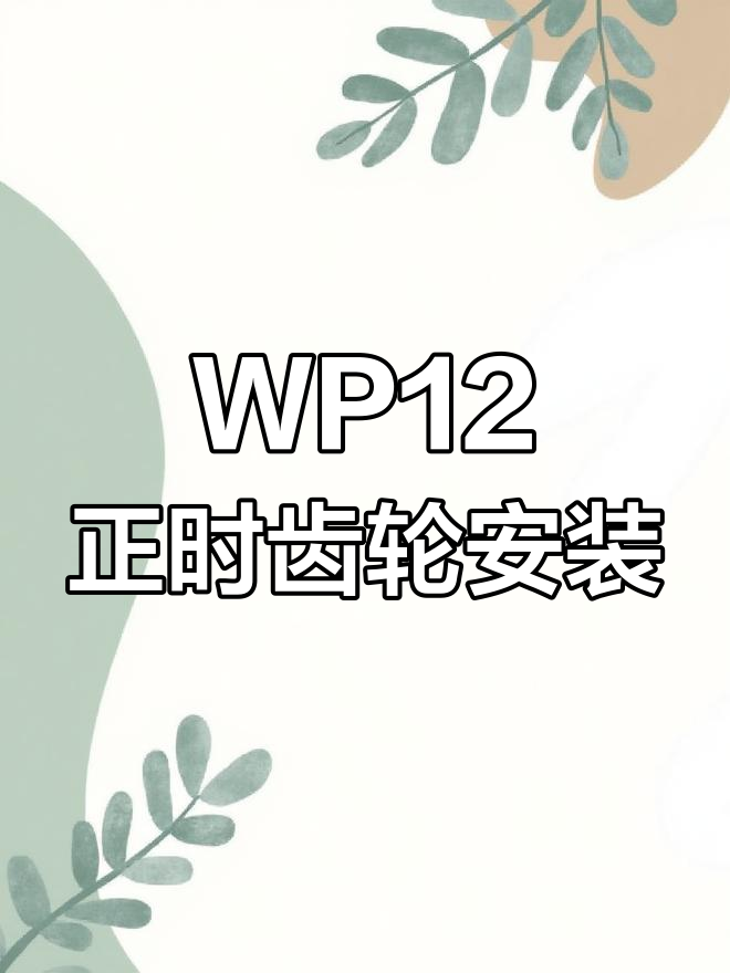 潍柴WP12后置正时齿轮安装技巧与步骤解析
