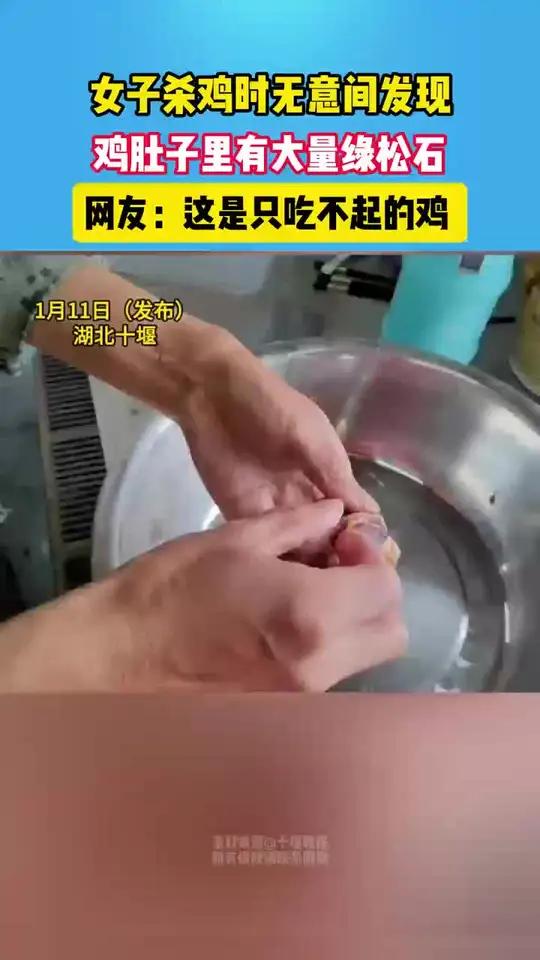 女子杀鸡时发现鸡肚子里有大量绿松石