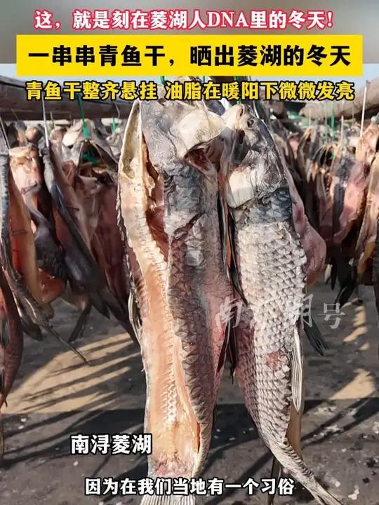 一串串青鱼干,晒出菱湖的冬天(记者:谢柽明 谭忠会 制作:小文)