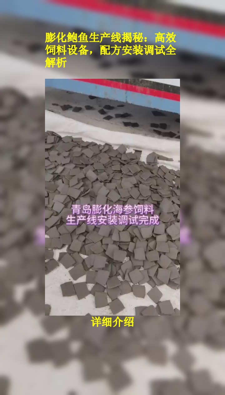 膨化鲍鱼生产线揭秘:高效饲料设备,配方安装调试全解析