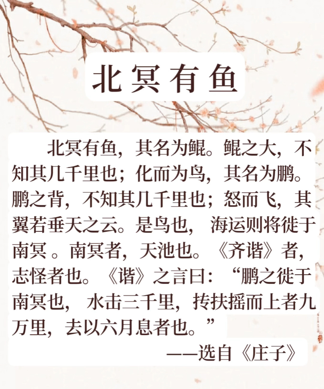 小学生小古文诵读《北冥有鱼》