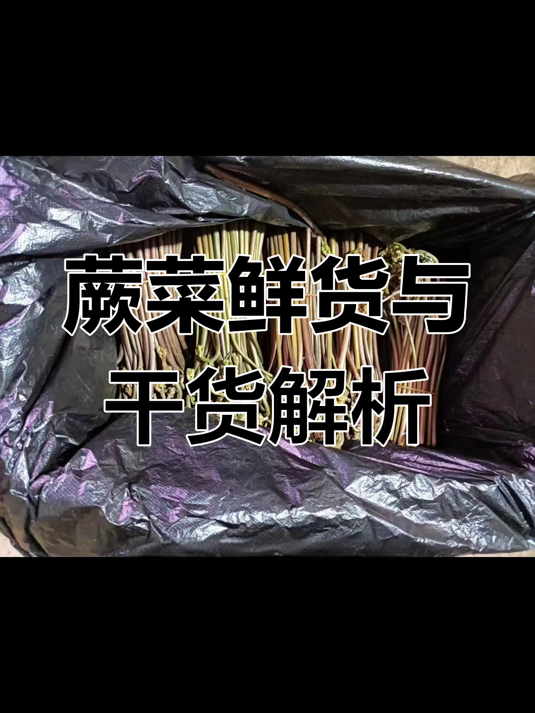 蕨菜鲜货与干货的区别,甜蕨和米蕨的独特魅力