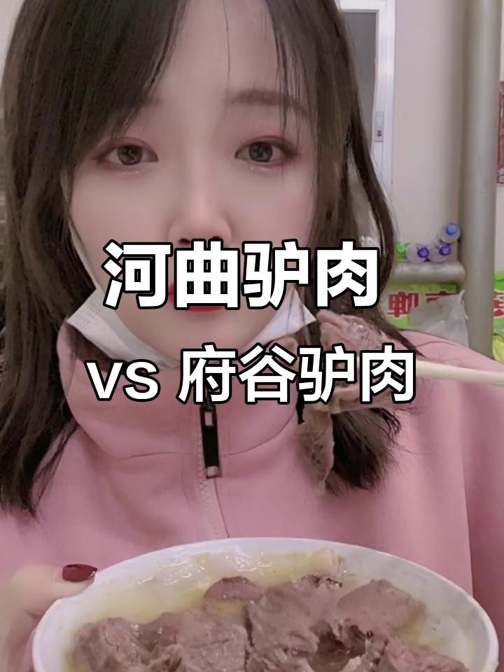 河曲驴肉碗托与府谷驴肉大比拼,哪个更胜一筹?