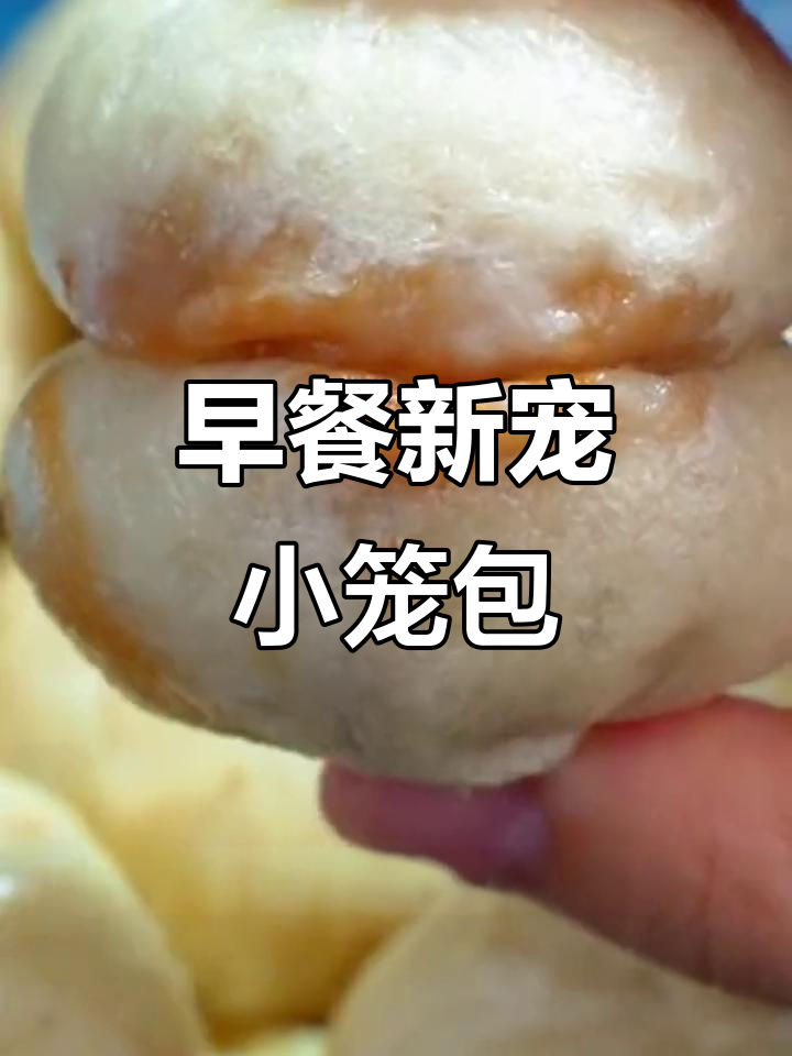 香软小笼包，早餐新选择，馅大皮薄，让人欲罢不能！