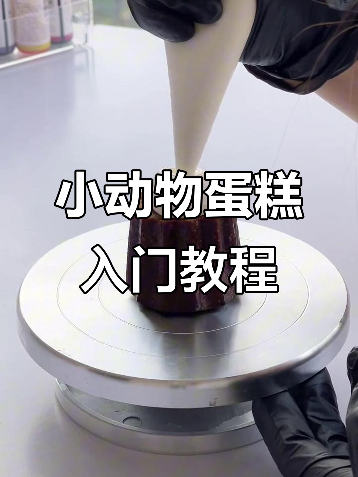 零基础学做立体小动物蛋糕,轻松掌握裱花技巧
