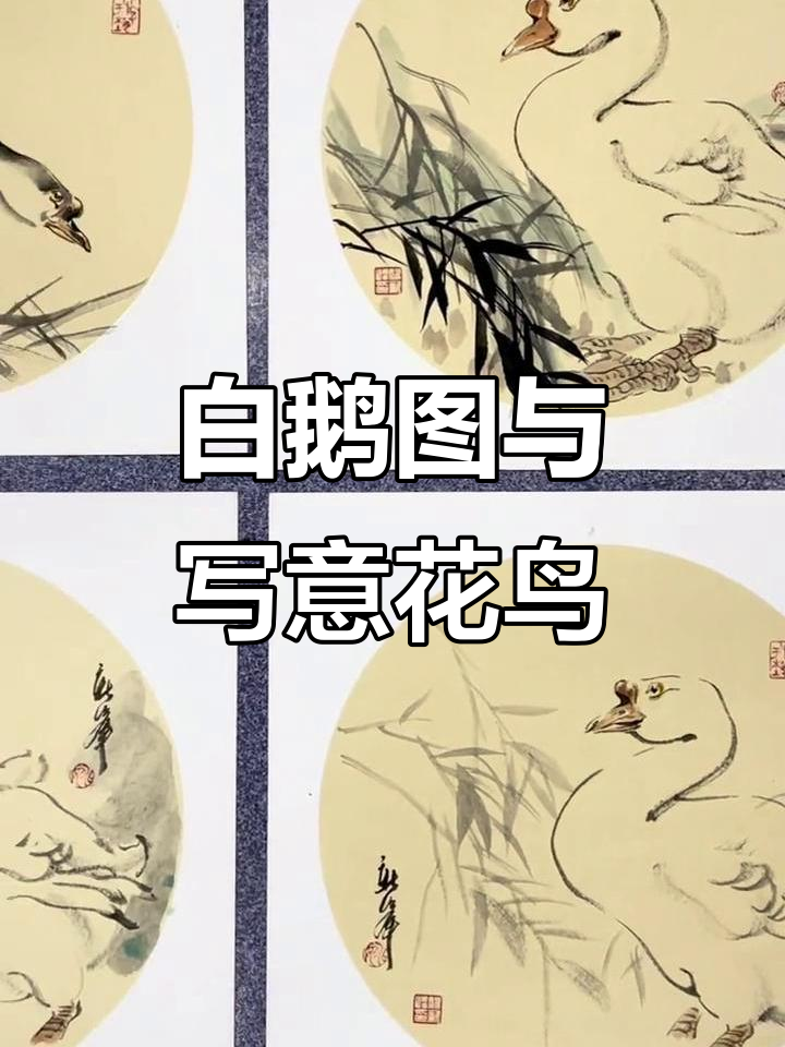宣纸卡片上的白鹅图,写意花鸟国画之美