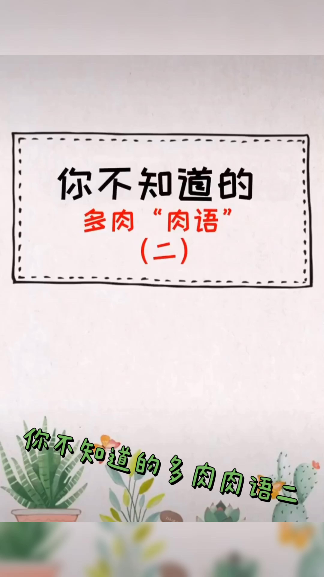 多肉寓意如此多 你还知道哪些呢