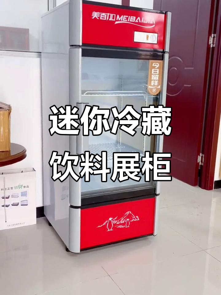 小型立式冷藏展示柜,玻璃门设计啤酒奶茶冷柜