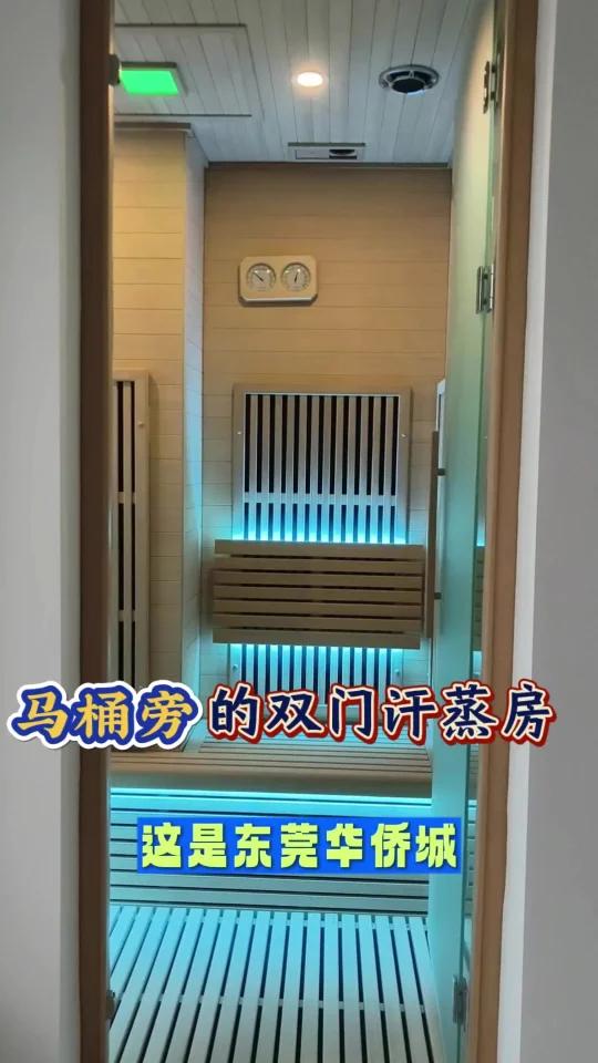 马桶旁的双门汗蒸房家用