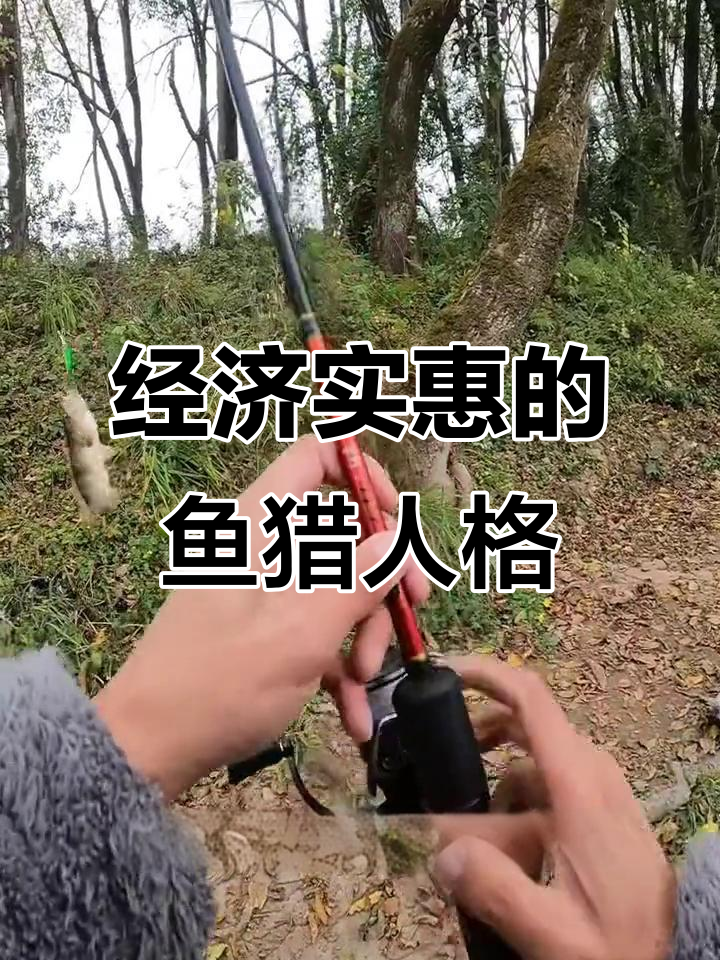 鱼猎人征途路亚竿,轻松钓翘嘴与老虎鱼