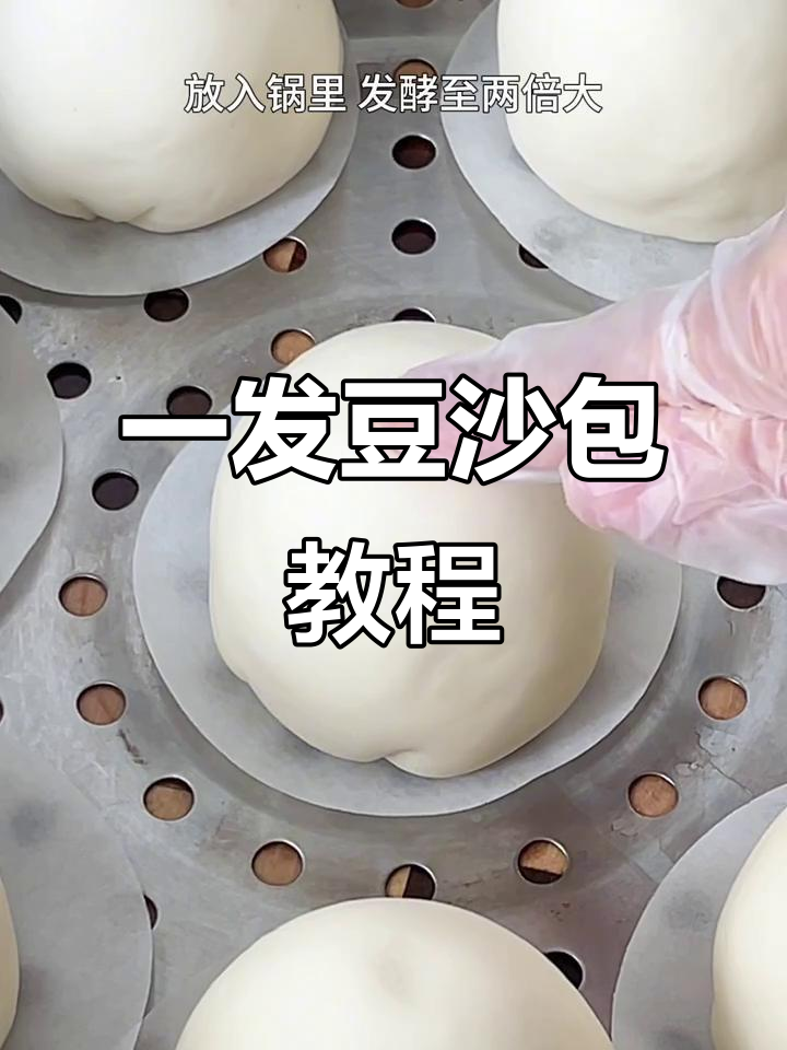 一次发酵豆沙包，简单又好吃！松软香甜，做法超详细