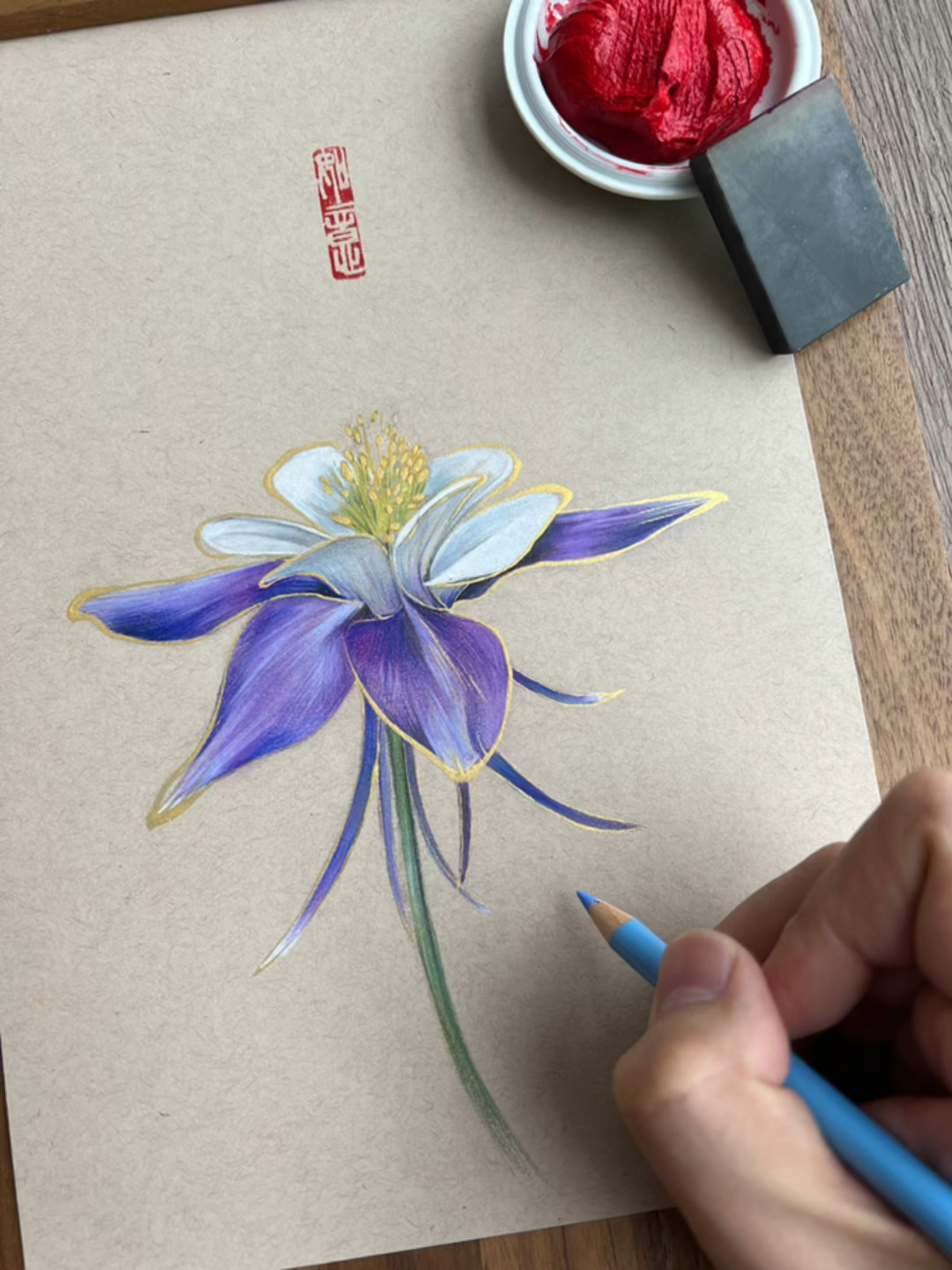 国风彩铅系列插画|耧斗菜