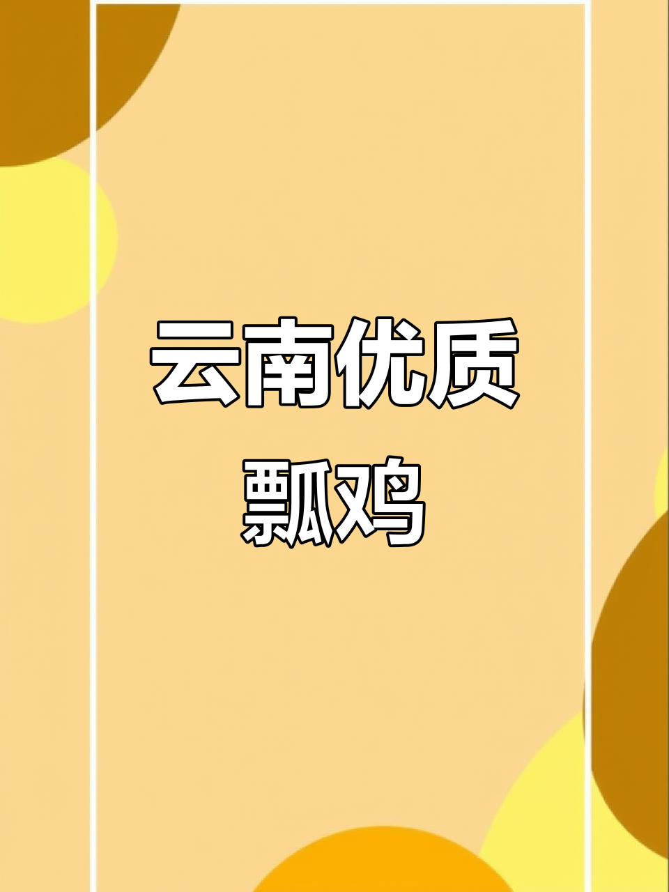 云南特色瓢鸡，青年成年皆有独特魅力