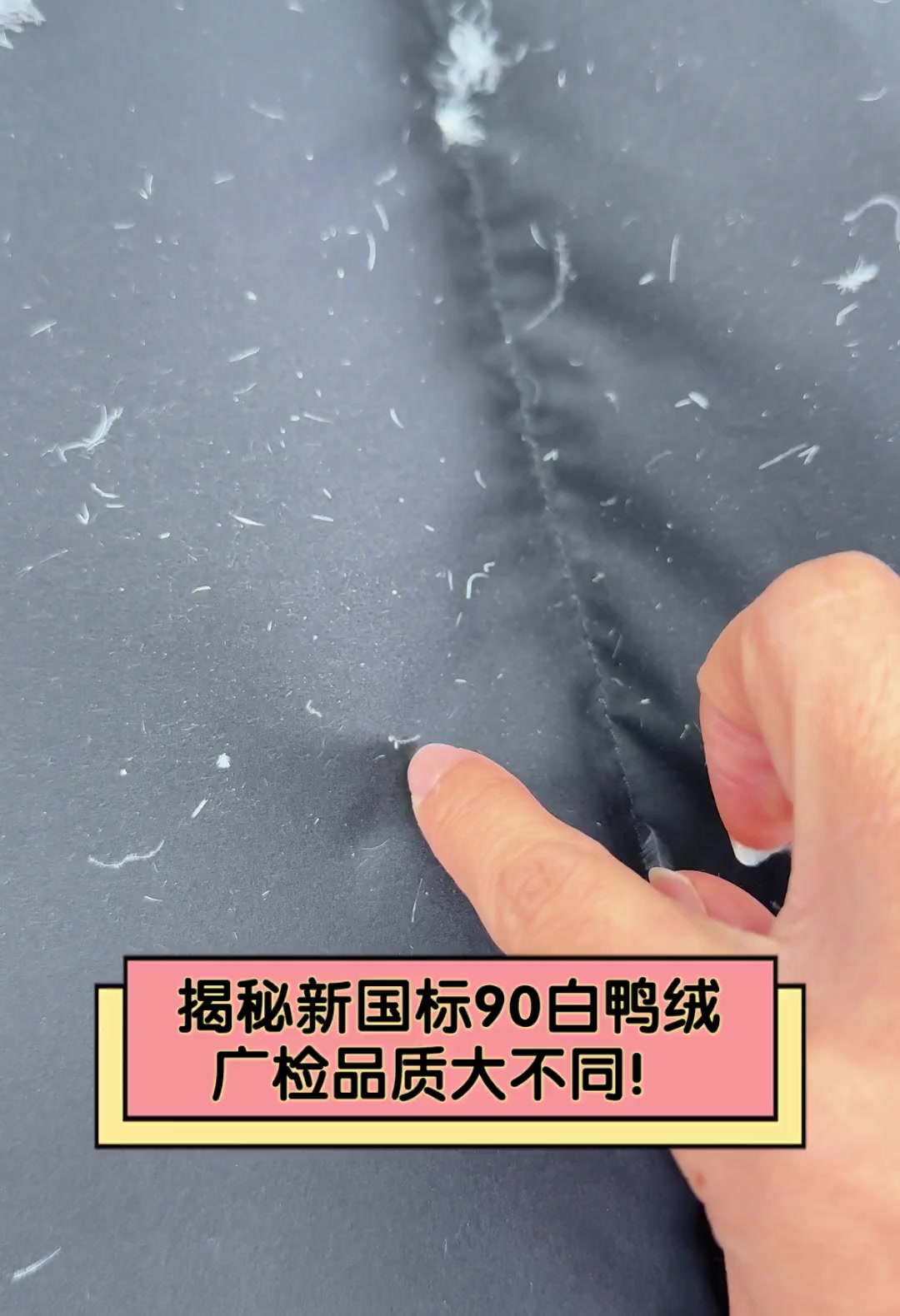 揭秘新国标90白鸭绒,广检品质大不同!