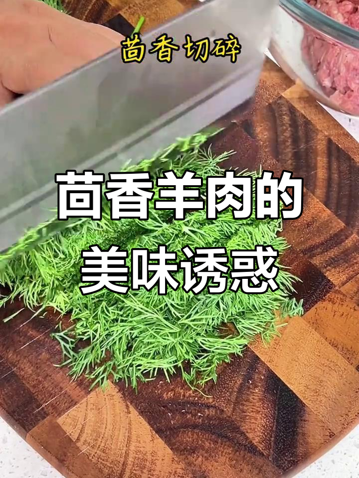 茴香羊肉馅,包饺子包子都超赞,绝对让你回味无穷!