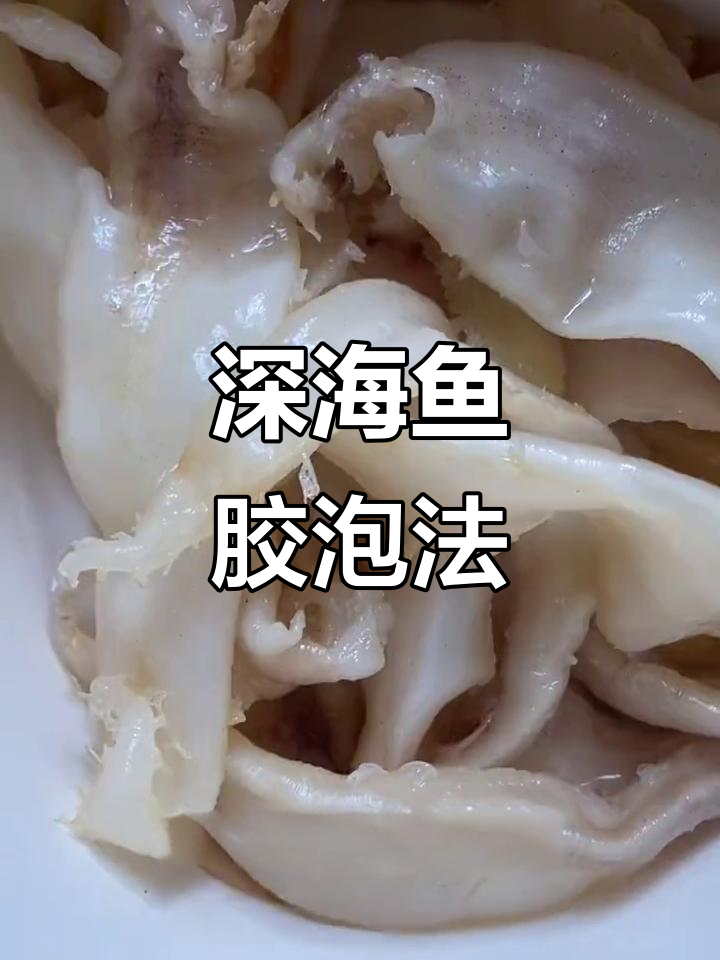 冬季滋补必备!深海鱼胶泡发技巧,简单又实用
