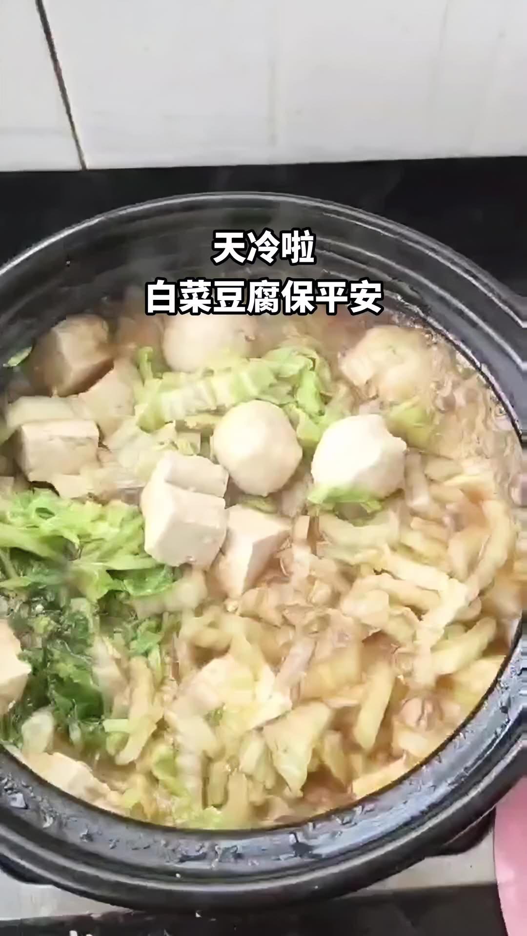 白菜豆腐保平安 白菜炖豆腐 一日三餐人间烟火 白菜炖豆腐做法