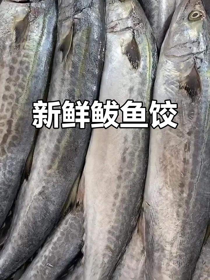 自制鲅鱼馅饺子,鲜美无腥味,韭菜肉搭配更诱人