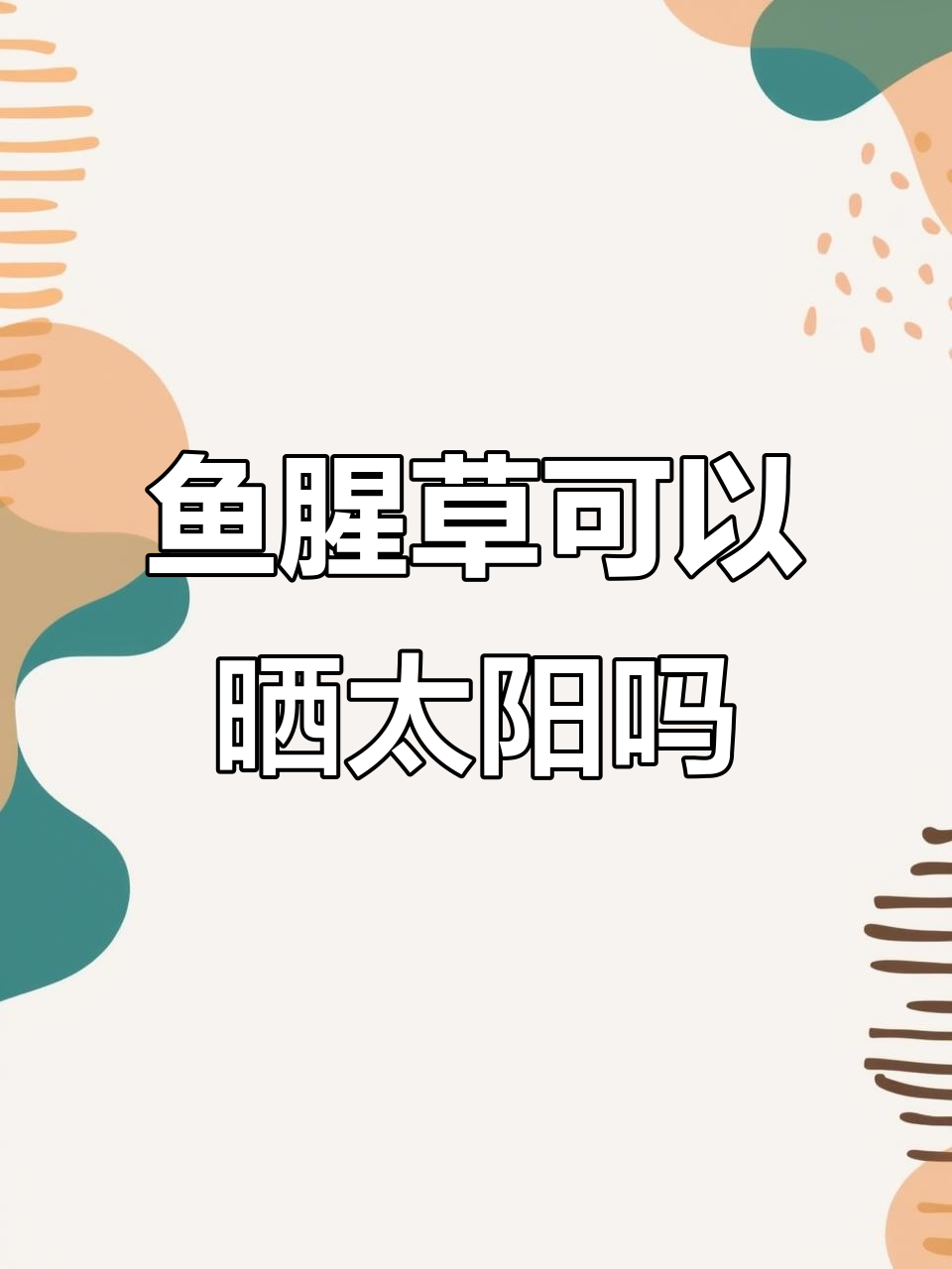鱼腥草能晒太阳吗?晒成干货的悲惨遭遇