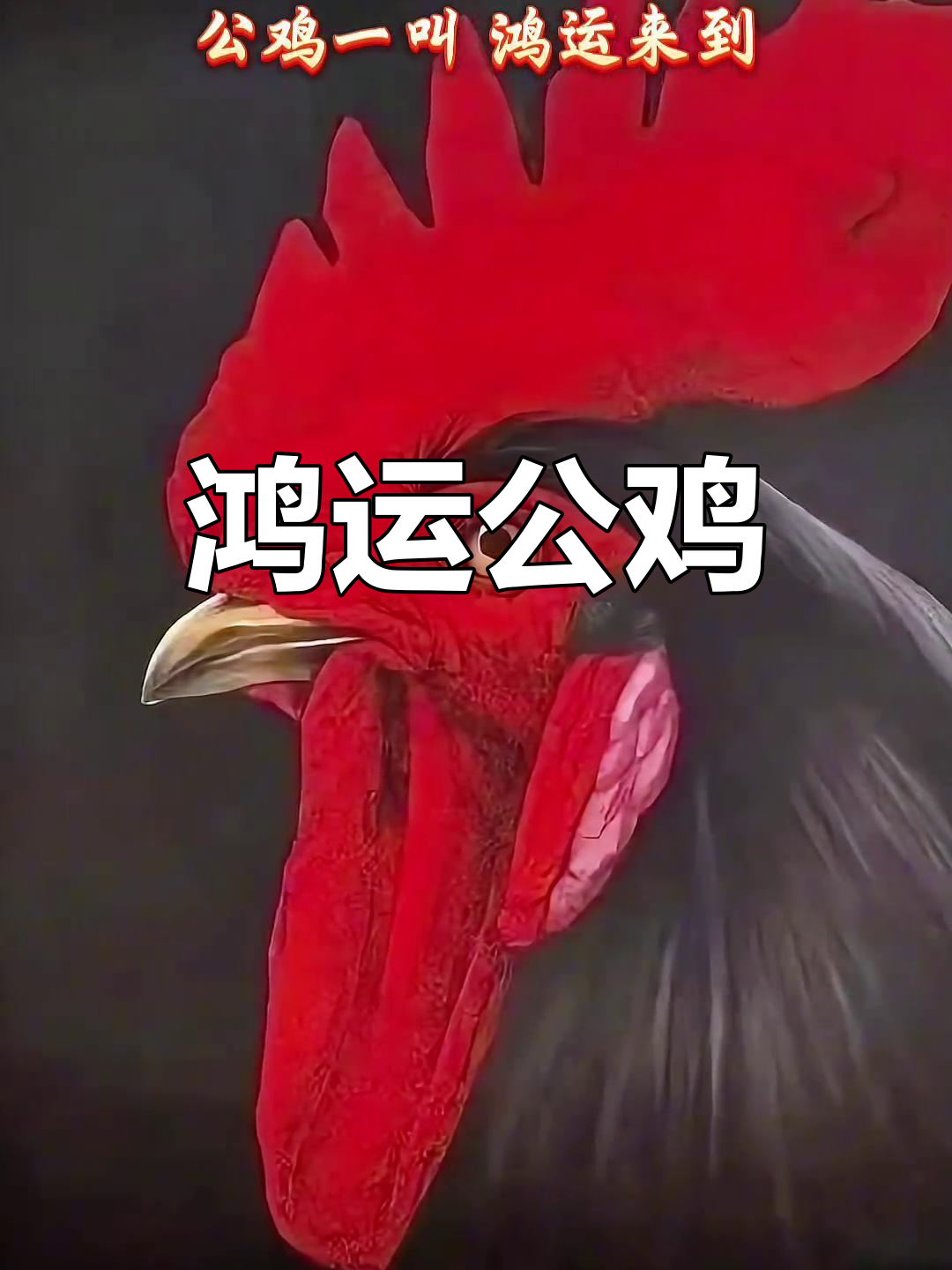 李云国画公鸡,鸿运当头,玄关挂画增添吉祥气氛