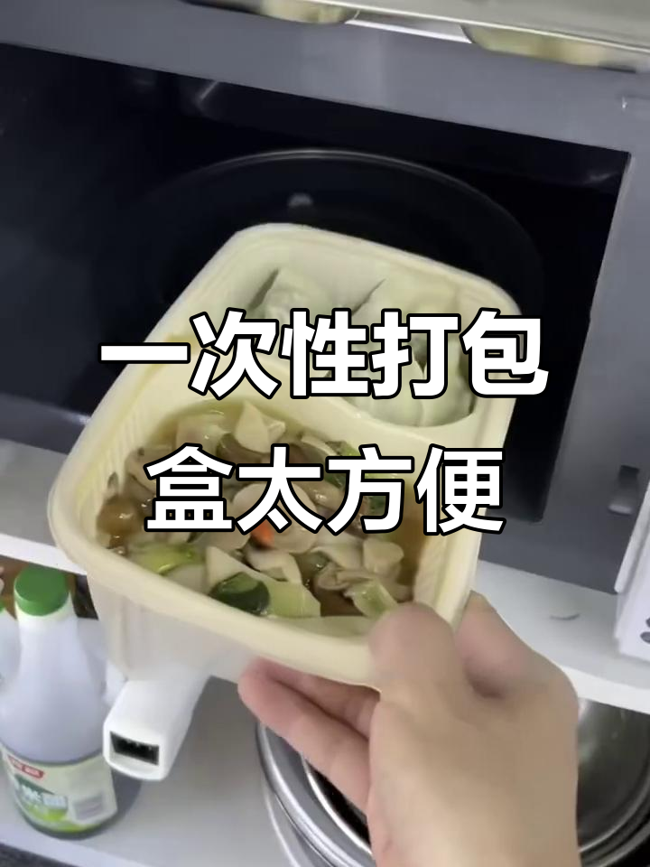 一次性外卖餐盒,带饭更轻松!