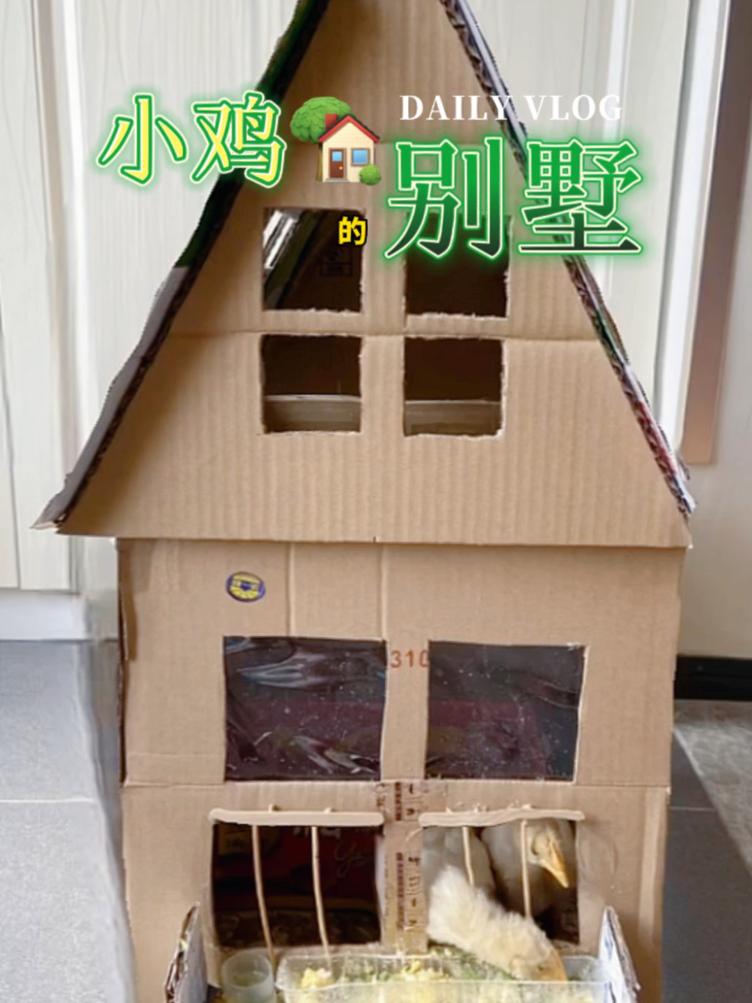 小鸡的独栋别墅|自制纸箱鸡窝