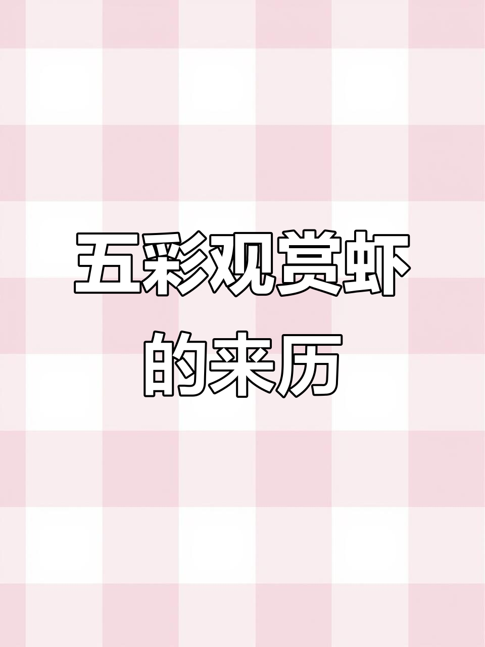 观赏虾的起源与变异:从原生到五彩斑斓