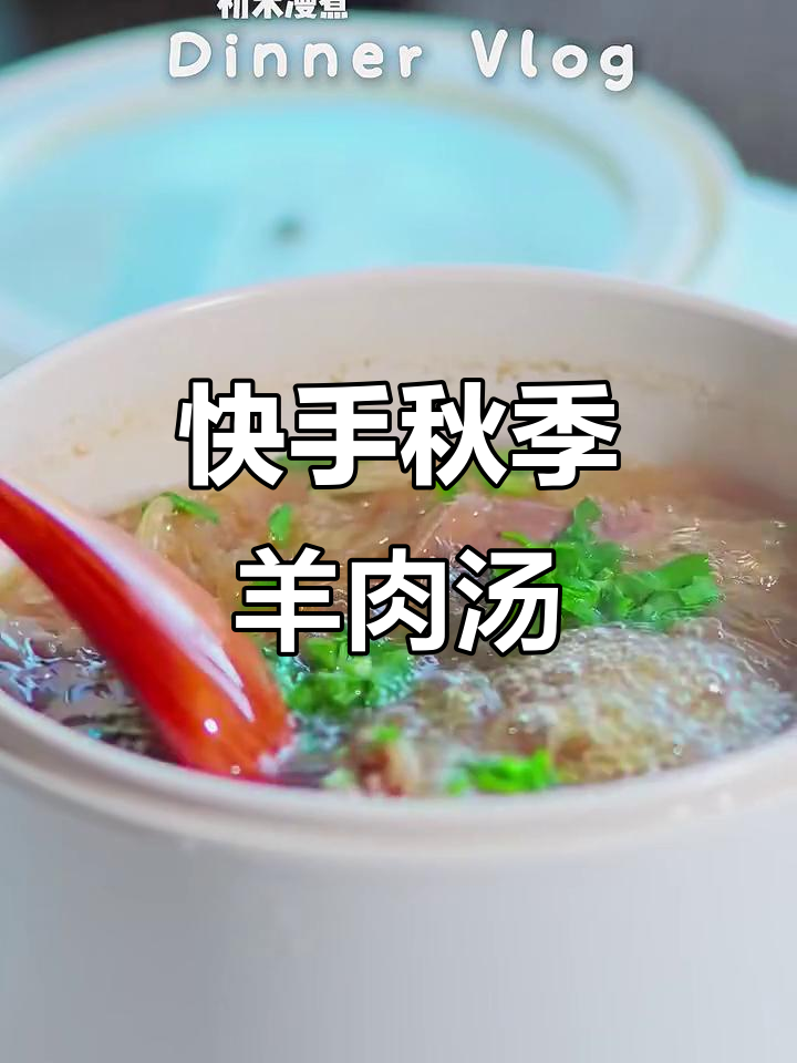 秋日暖汤,萝卜丝羊肉汤轻松做