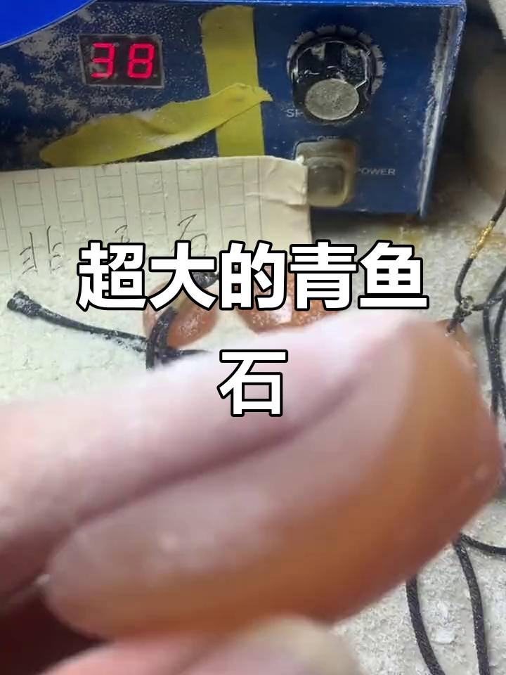 青鱼石超大,看看这个有多大!