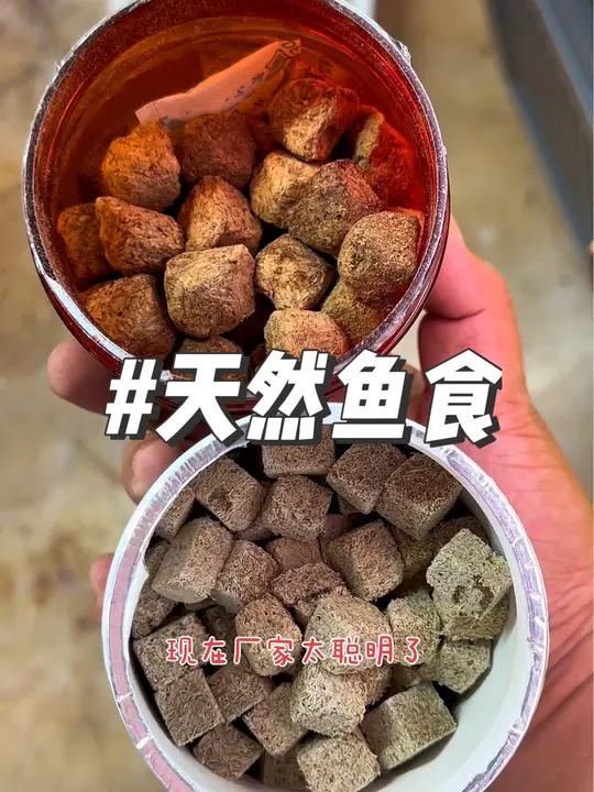 天然鱼食买一送一 天然鱼食买一送一、红线虫贴块和丰年虾块做了组合套餐 鱼缸里的大自然 养鱼